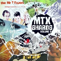 I Ain't Gonna Be History - The Mr. T Experience