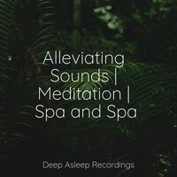 Keeping It Calm - Especialistas de Musica para Dormir, Study Music, Reiki Tribe