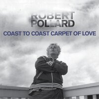 Count Us In - Robert Pollard