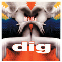 I Don't Mind - Dig