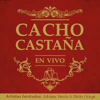 Un Muchacho Como Yo - Cacho Castaña, Palito Ortega