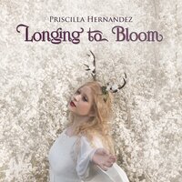 Priscilla Hernandez