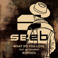What Do You Love - Seeb, Jacob Banks, Zac Samuel