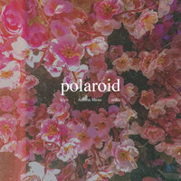 Polaroid - Alisson Shore, kiyo, No$ia