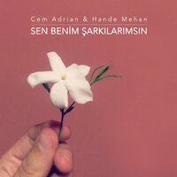 Hande Mehan