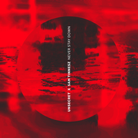 Never Stay Down - UNSECRET, Sam Tinnesz