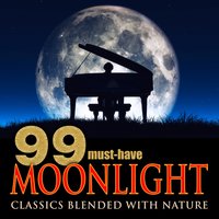 Quiet Fireplace & Canon in D Major - Echoes of Nature, Berliner Kammerorchester, Peter Wohlert