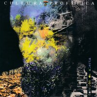 Lucha y Sacrificio - Cultura Profética