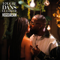 Touché dans le coeur - Vegedream