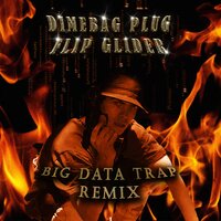 Big Data Trap - Dimebag Plug