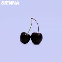 Barroom Brawls - Sienná