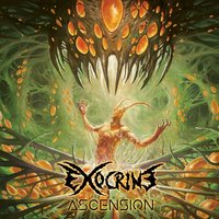 Cryogenisation - Exocrine