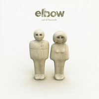 Ribcage - elbow