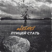 Птицей стать - mk5.45