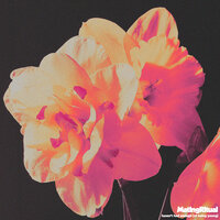 Haven't Had Enough (Of Being Young) - Mating Ritual
