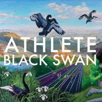 Rubik's Cube - Athlete