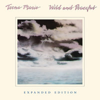 Every Little Bit Hurts - Teena Marie, Rick James