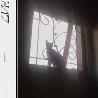 warmth - CVX
