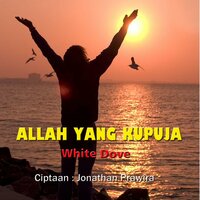 White Dove