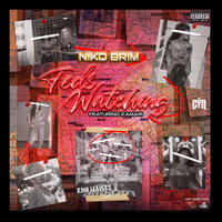 Feds Watching - Niko Brim, Kamari
