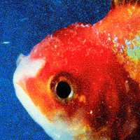 Big Fish - Vince Staples