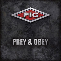 Pig