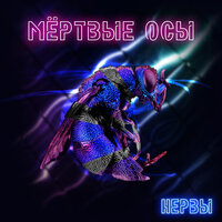 Нервы - Мёртвые Осы