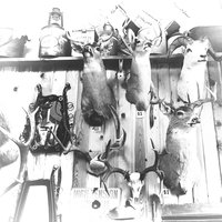 Careful I Think It's Loaded - Dead Man Winter