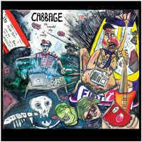 A Network Betrayal - Cabbage
