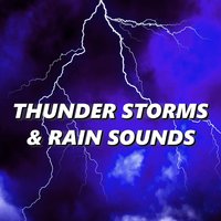 Impeccable Evening Rain Storms Sounds - Thunderstorms, Rain Sounds
