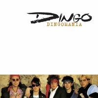 Dingo