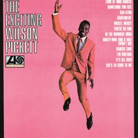 I Need a Lot of Loving Every Day - Wilson Pickett Jr.