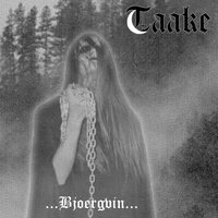 Over Bjoergvin Graater Himmerik V - Taake