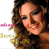 Ayrılık Resmi - Sevcan Orhan