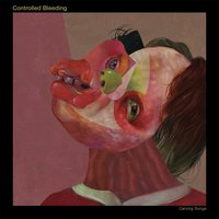 Return of the Quiet - Street Sects, Controlled Bleeding