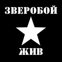 Летим - Зверобой