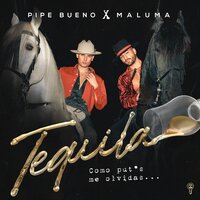 Pipe Bueno