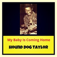 Hound Dog Taylor