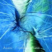 Aarni