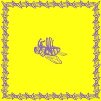 Hibernate - Milk Teeth