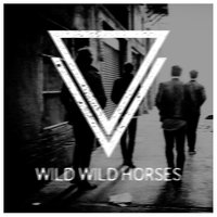 Wild Wild Horses