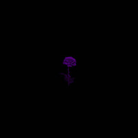 Garden - pre kai ro, Papi Lotus