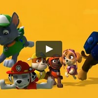 Paw Patrol