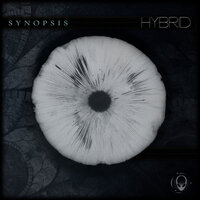 Hybrid