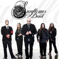 Wasted - Sunflower Dead