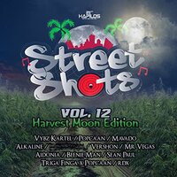 Ganja Mi Smoke - Sean Paul