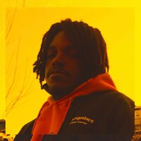 Orange - LOTUS