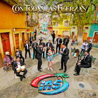 Si Cruzas La Puerta - Banda Sinaloense MS de Sergio Lizárraga
