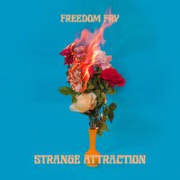 The Words - Freedom Fry