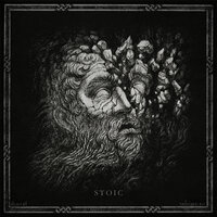 Darkness Becomes Us - Crust